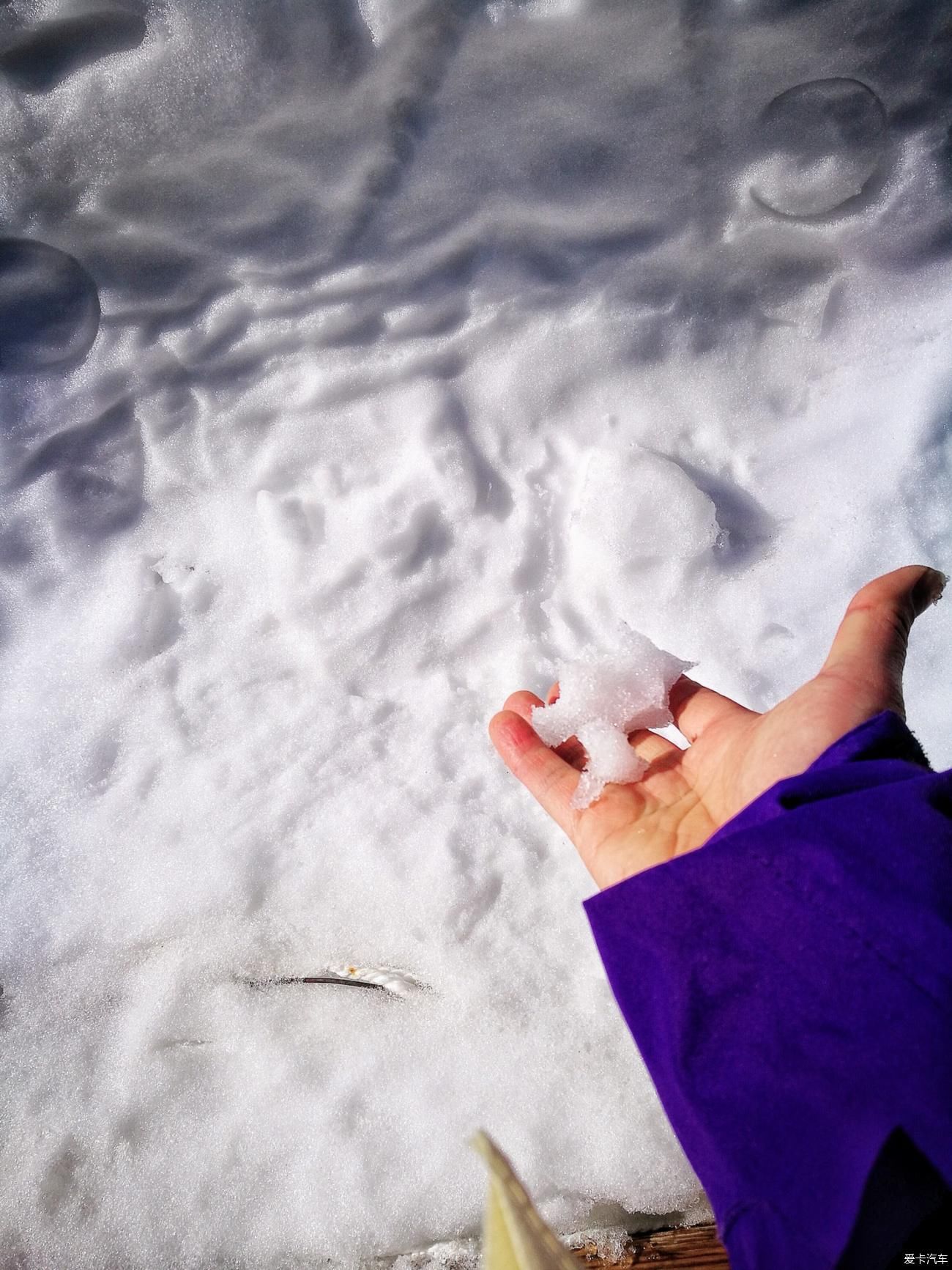 【探岳自驾】和探岳一起走进玉龙雪山