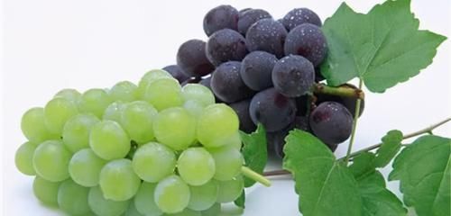 长寿老人最爱吃3种食物，美容养颜、延缓衰老，好处多多！