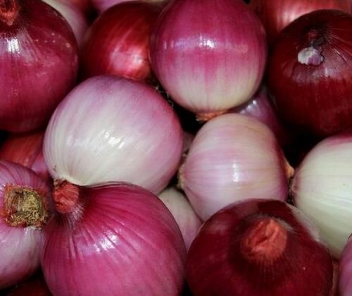 预防|吃了年轻的食物,爱美女性坚持吃,预防早衰,美容活血,身体更好