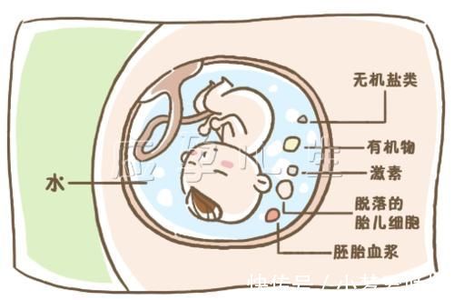 沈阳九州家圆医院|如何预防胎儿巨大?这些小细节快快注意起来!