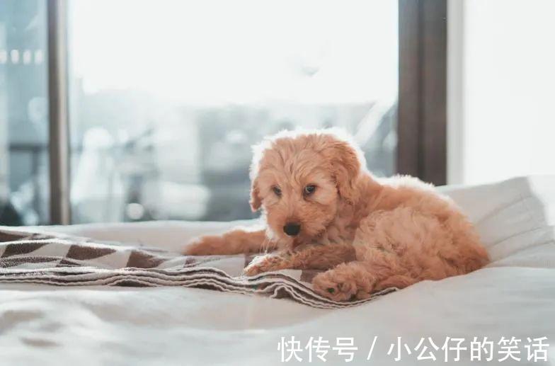 |今年最狠的四个段子!