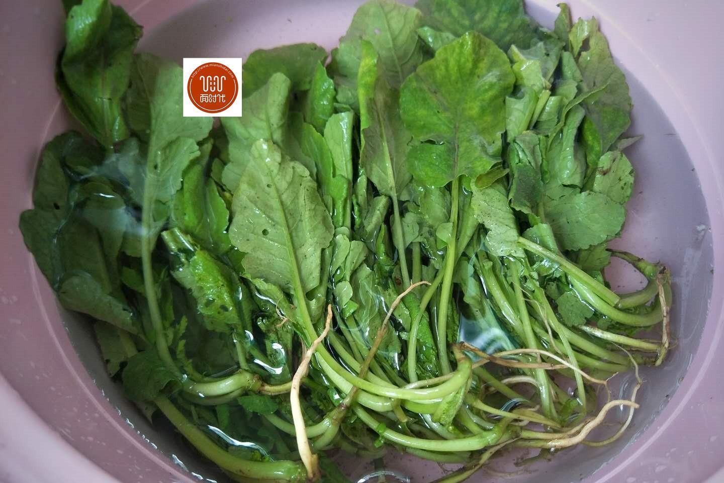 这菜不懂吃可惜了，简单炒一炒，太鲜了，还能