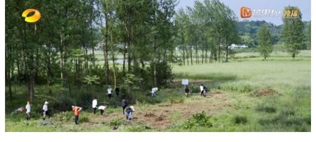 向往的生活|“TREE HOUSE”10人做客蘑菇屋,火星人集成灶助力黄磊搞定流水席