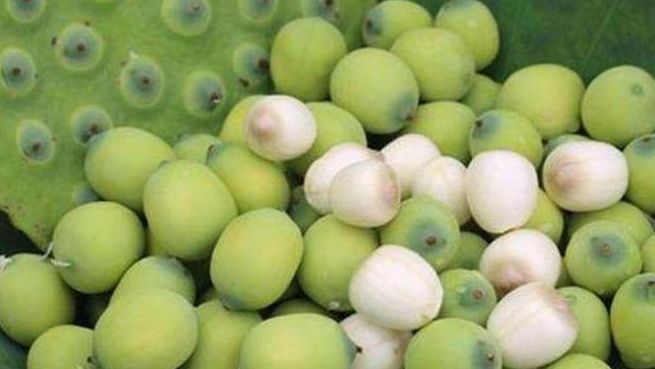 老少皆宜|30岁女性要学会常吃的食物，排出毒素，净化血液，保肝补肾