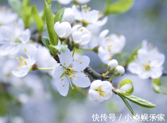 婚后最能管住丈夫的三个生肖女，管起老公毫不手软，却越管越有钱