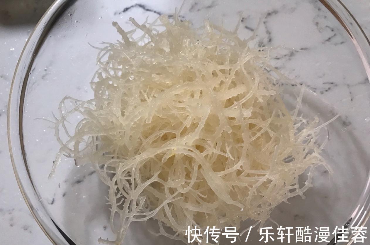 海石花|天热没胃口,试一试这道凉拌海石花,清爽可口,看着就想吃