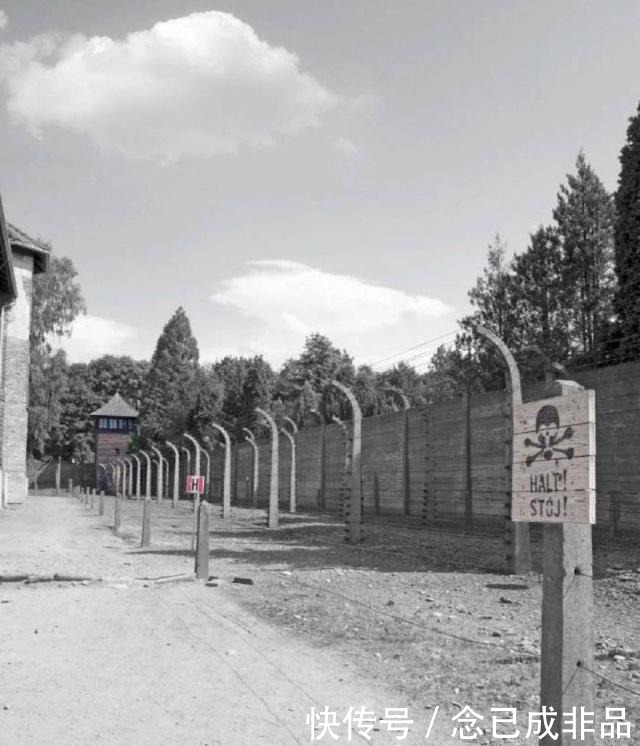 希特勒|原来这才是希特勒仇恨犹太人的真正原因