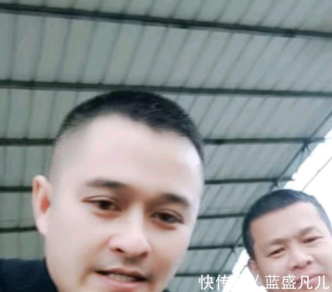 中国跳水队|生意做得红火!全红婵家的橙子已经卖完了,全爸开心在直播间问好!