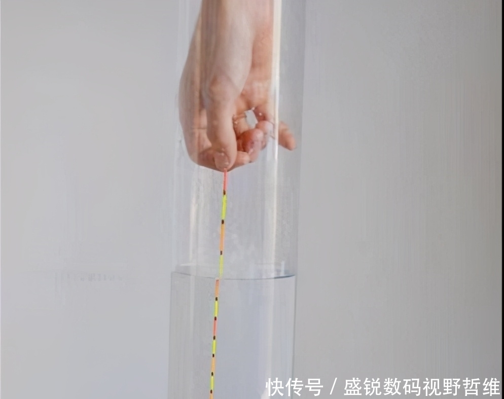 大鱼|这5个钓鱼知识虽冷,却是十足的常识,你是否因犯迷糊而忽视呢?