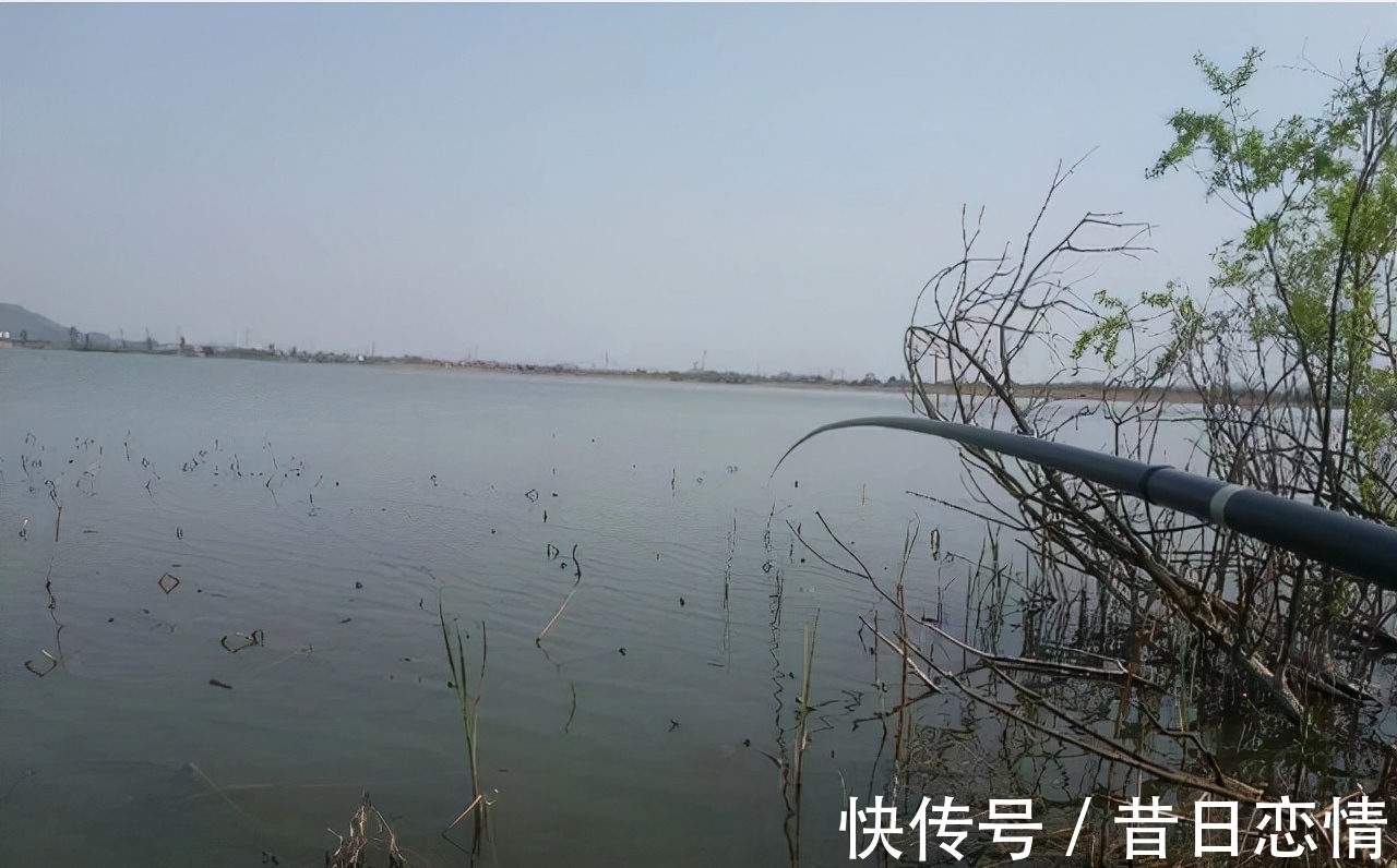 水草|钓友们冬钓鲫鱼选钓位,既不可死板教条,又不能走极端