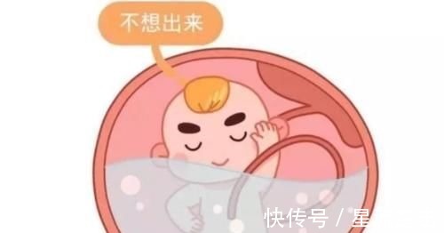 胎儿|胎儿每天在妈妈肚子里忙什么?除了吃和睡,他们有好多事情要忙!