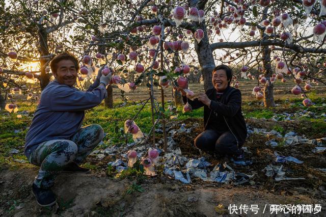 老李|打工和种地哪个挣钱多，看看这一家子就会明白