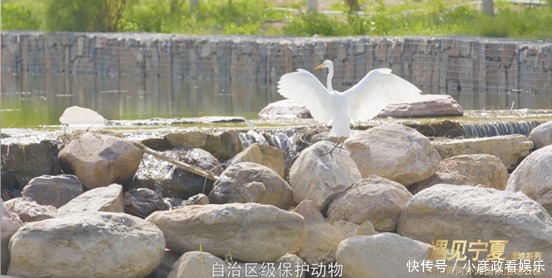 遇见宁夏｜银川黄河外滩国家湿地公园