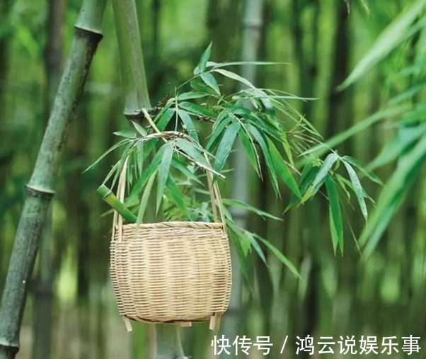 坟地#坟边长竹须迁坟,坟前两物成富人,“两物”是什么