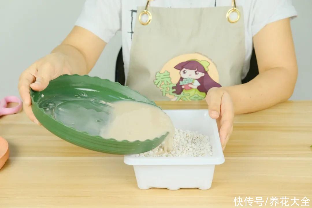 11种常见花，现在扦插，成活率特高