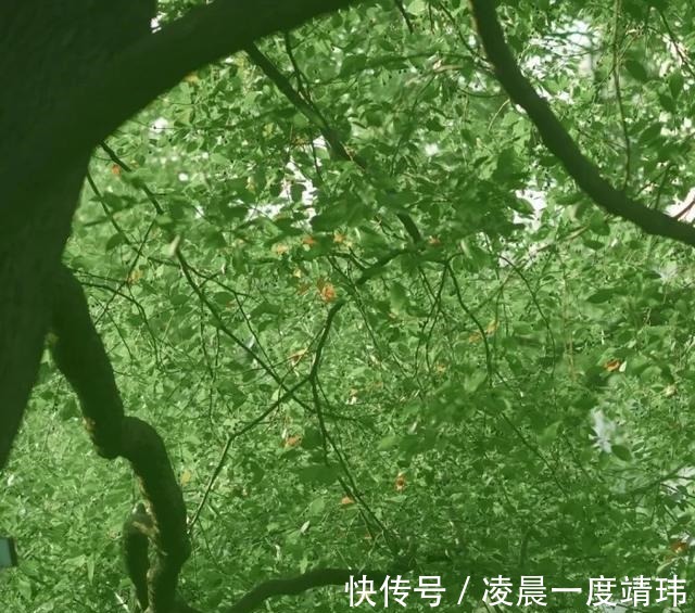 内里|高收藏古言文完结!温柔闺秀大美人&外表温和内里偏执的权臣