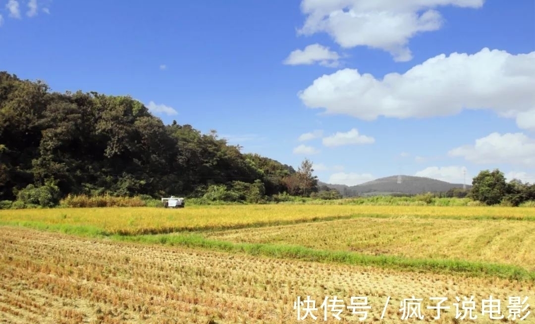 江阔云$满满全是人生的10大诗词排行榜,都有哪些优秀的诗词入榜?