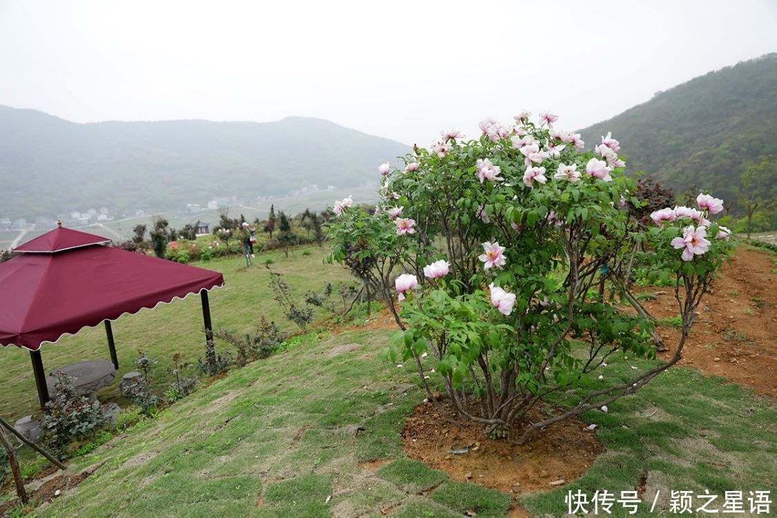 牡丹花、风车公路、烽火台、海港，美丽的风景线