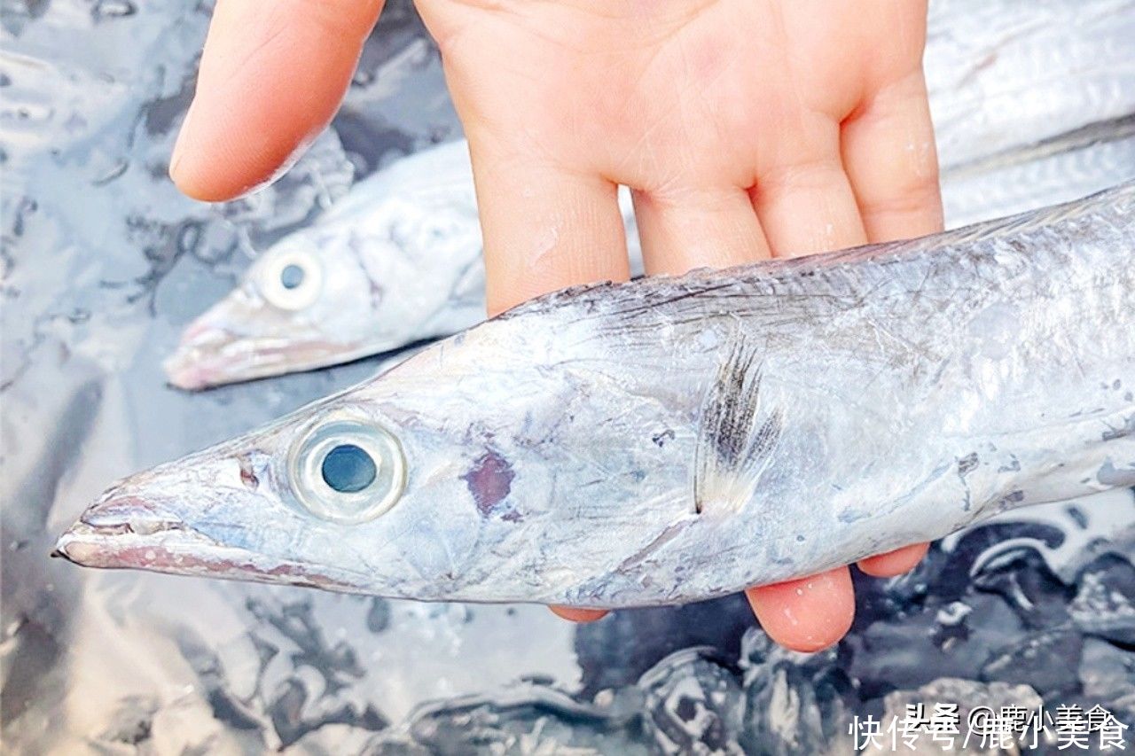 鱼腥味|买带鱼不能只看大小，牢记“挑带鱼3招”，新鲜肥美，少花冤枉钱