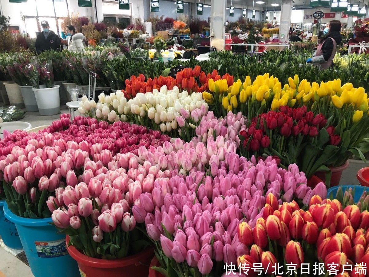 50多万盆、百万束年宵花上市，今年价格便宜了