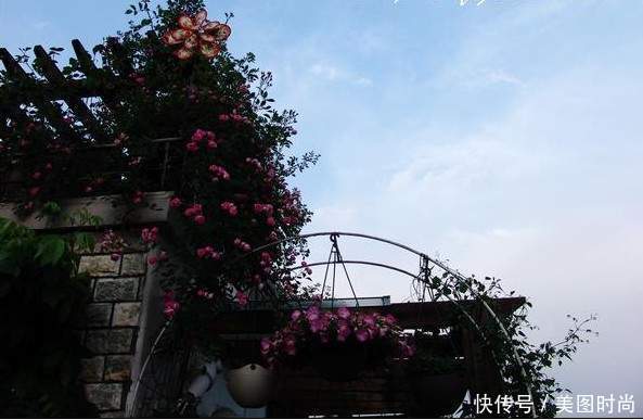 50㎡露台打造“空中花园”,每天看着精心培育的花儿,惬意啊!