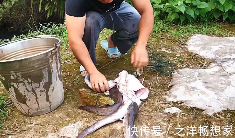 小伙钓鱼时扔了块猪肺到河里，大家很疑惑，一会后又都来围观