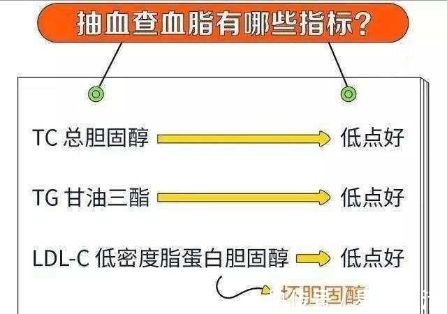 甘油三酯|血脂升高是肉吃多了辟谣并非如此！告诉您血脂升高的真相！