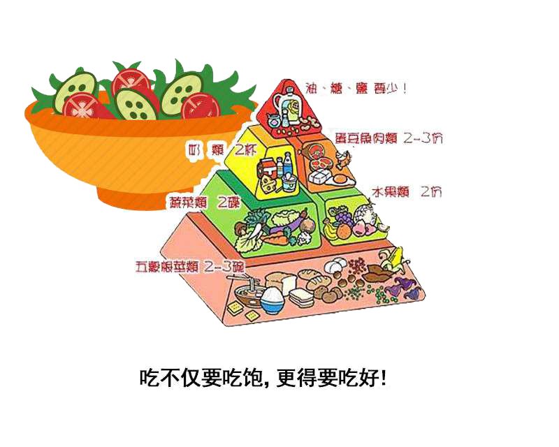 冰墩|吃素就能减肥?在冰墩墩的眼中,这是一个笑话