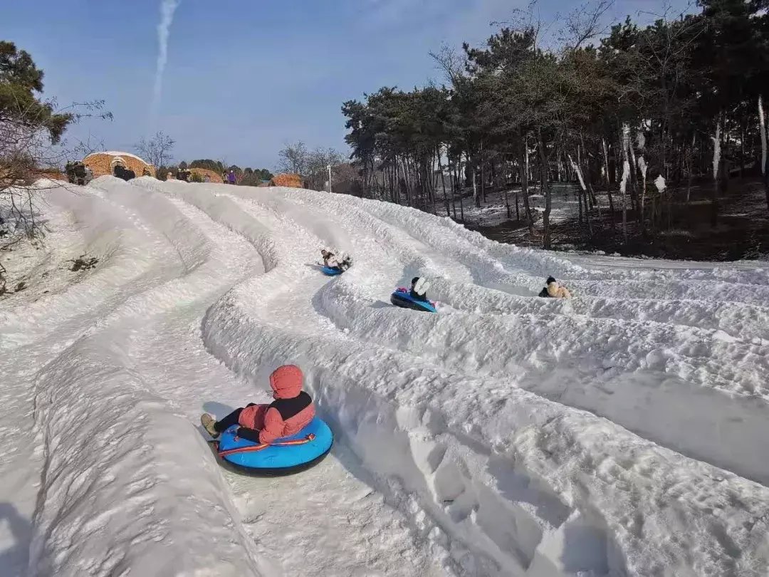 金银木|今年初雪落满山东，齐鲁雪乡首现雾凇！