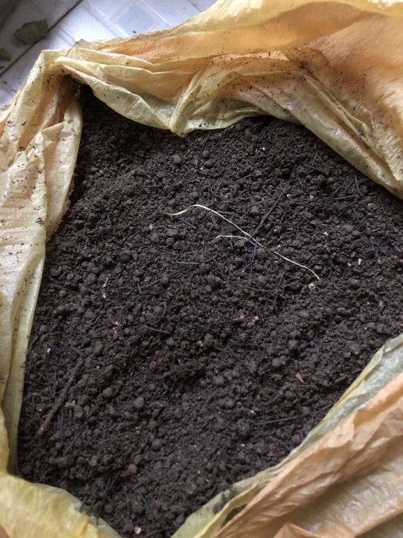 山上一种土,是养花“黄金土”,啥花吃了都疯长!