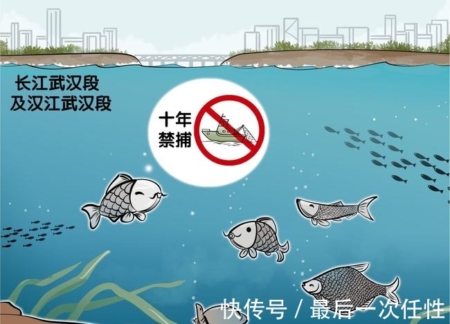 用钓竿钓到10条鲢鱼,2人被罚26000元!长江禁渔十年,能钓鱼吗?