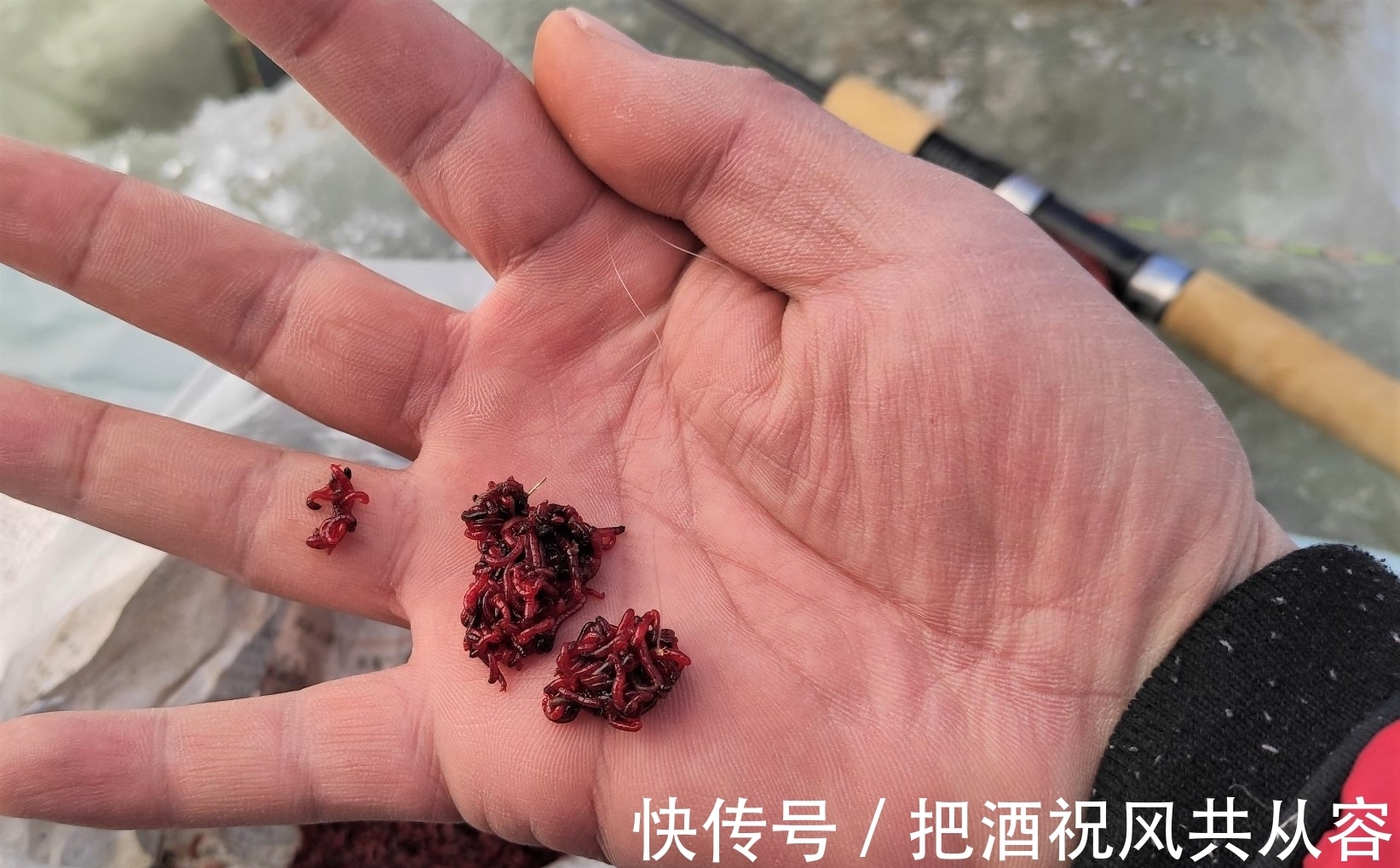 秋天钓鱼与夏季钓鱼有什么不同?通过这几方面的改变,不爆护都难