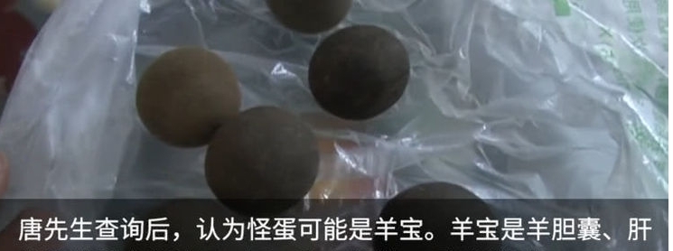 屠夫在羊肚发现几个石头,好奇在网上查了一下,结果让他兴奋不已