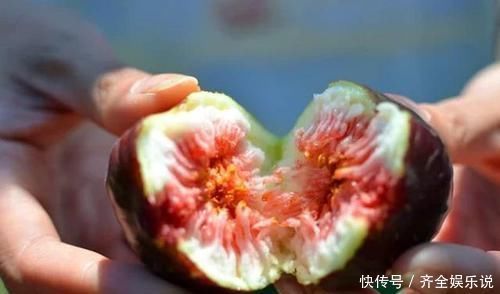 養肝護肝|肝不好的人,工資少也要堅持吃4物,養肝護肝,肝臟或更健康