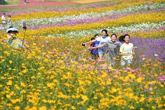 宜丰|江西宜丰：乡村花海引客来