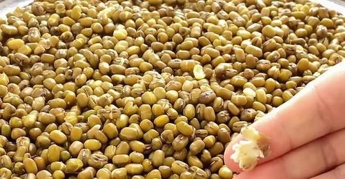 白糖|夏天多吃绿豆，教你一个做法，加2个鸡蛋进去，出锅香甜又暄软