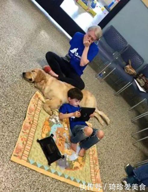 小男孩|白鲸张开“血盆大口”吓哭孩子,专业抢镜20年,一看就不正经