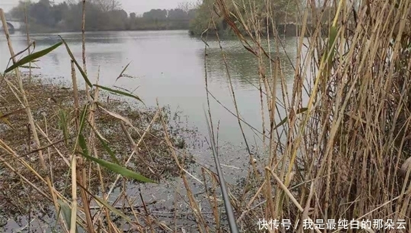 小寒之后钓鲫鱼,这些位置有鱼群,这是鲫鱼扎堆过冬的地方!