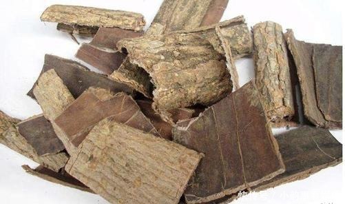 补骨叶苷|三位院士:骨质疏松者,饭后做此事,坚持运动骨钙或能慢慢增加