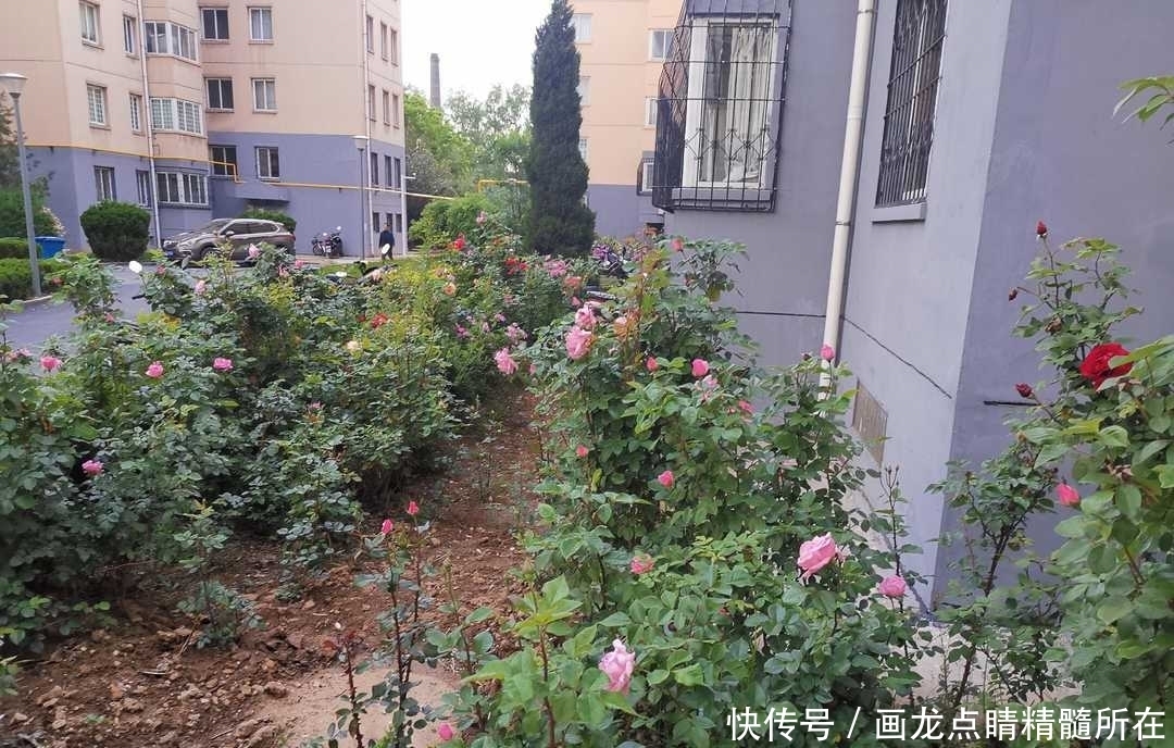 君子|曾国藩:三个不同寻常、与众不同的劝诫