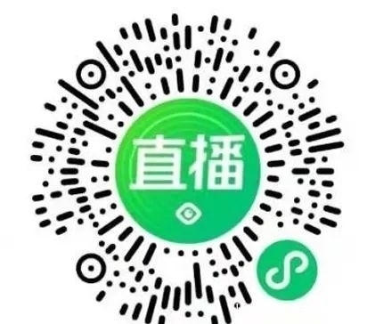 陈伟南文化馆火热直播,国家级主播四语种带你看展!