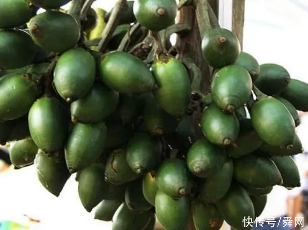 水果|孩子尽量少吃这4种水果,每种都不能多吃,食用过量可能会中毒