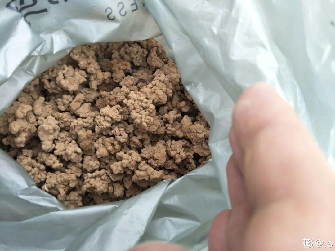 黄叶|给花浇水掺点白醋，植物根比萝卜还粗，健壮不黄叶