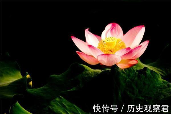 人情&俗话“有茶有酒多兄弟”,下半句道尽世间人情冷暖,古人智慧总结