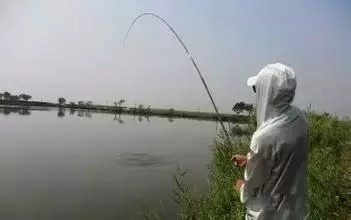传统钓专门钓大鲫鱼，熟悉了钓法流程就知道原因了