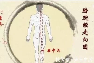 湿气|身上藏着9个“养生窝”,湿气重、睡不好、便秘的人,每天按按超有用