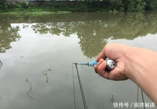 觅食|野钓河里鱼真多，就是不吃饵，有些情况就是钓鱼人自己造成的