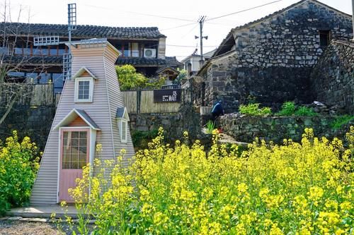 宁波有个古村落，高山梯田油菜花开得正艳，是春天赏花的好去处