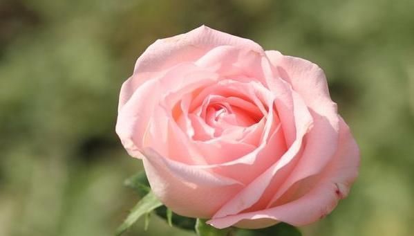 飞黄腾达&不善为人处世,背会这4句口诀,日后必定飞黄腾达