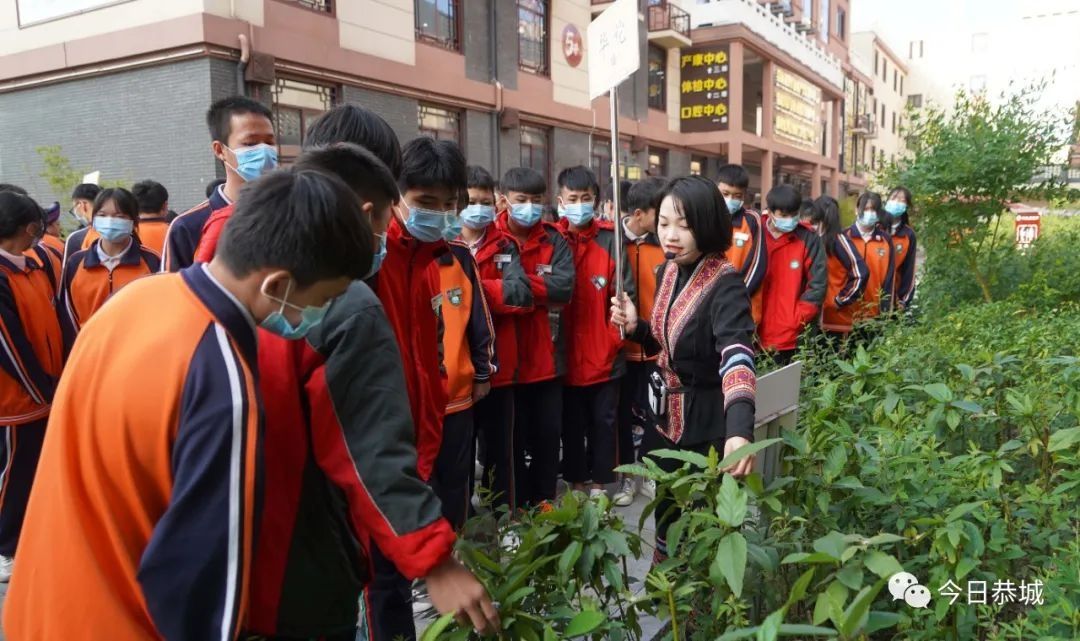 小知识$莲花初中学生在茶江书院开启中医药文化研学之旅